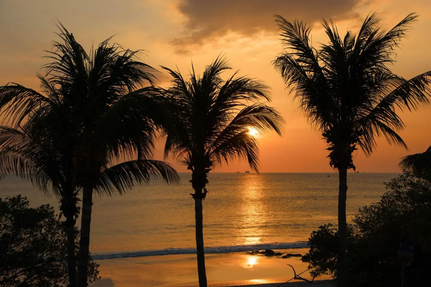 Sunset over the ocean framed by palm trees at Margaritaville Beach Resort Playa Flamingo.
