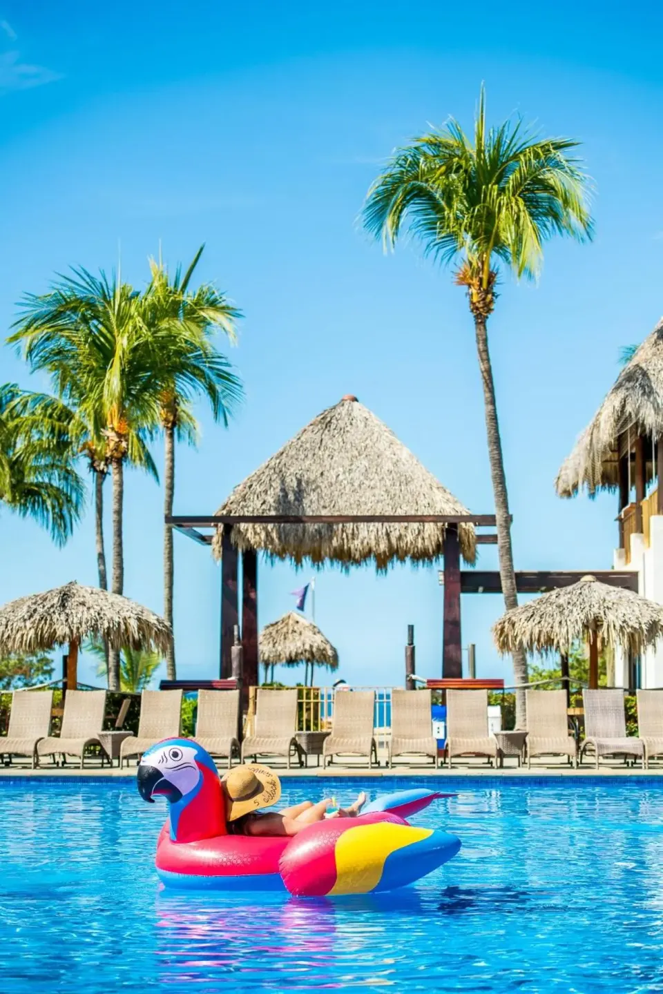 Pool with lounge chairs, palms, and a parrot float at Margaritaville Beach Resort Playa Flamingo.