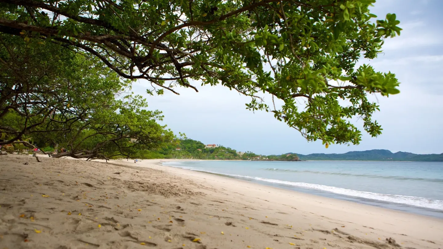 Flamingo Beach 1 Min Walk