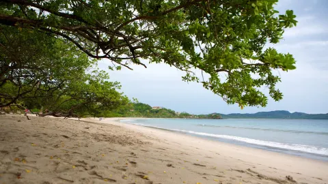 Flamingo Beach 1 Min Walk
