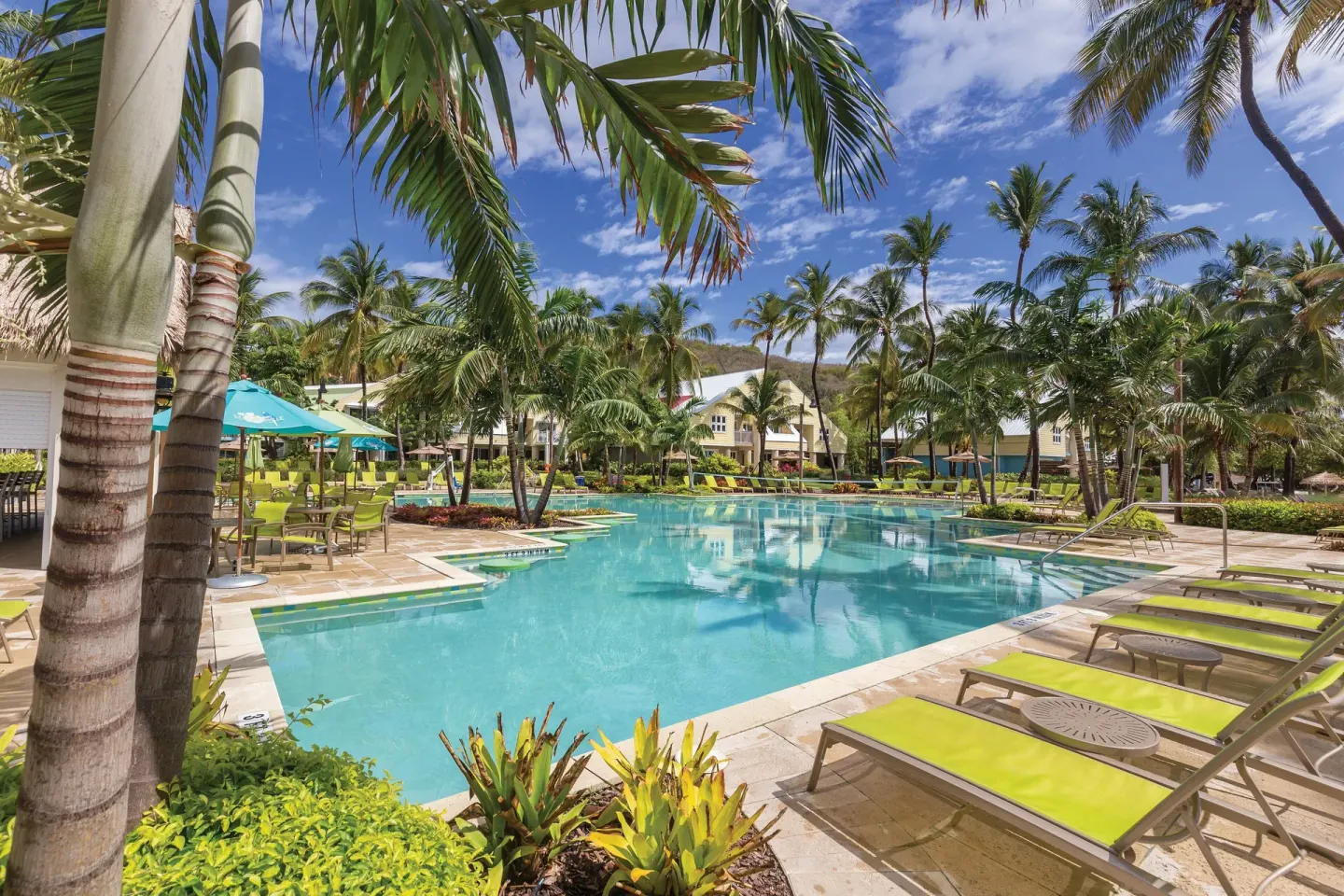 Palm-framed resort pool with lounge chairs at Margaritaville Vacation Club - St. Thomas.
