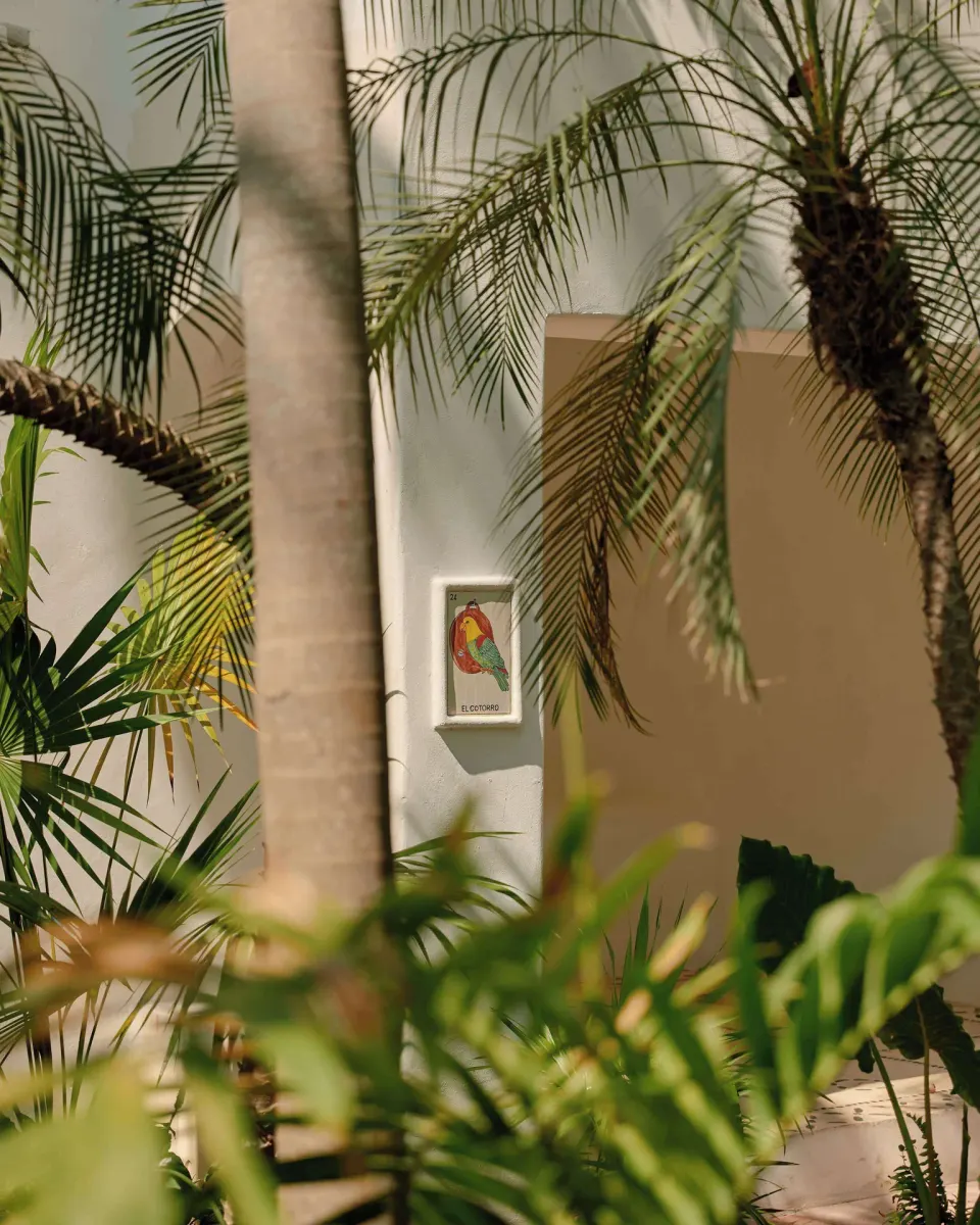 Garden View Premium Suite garden exterior at Maroma, Riviera Maya framed by palms.
