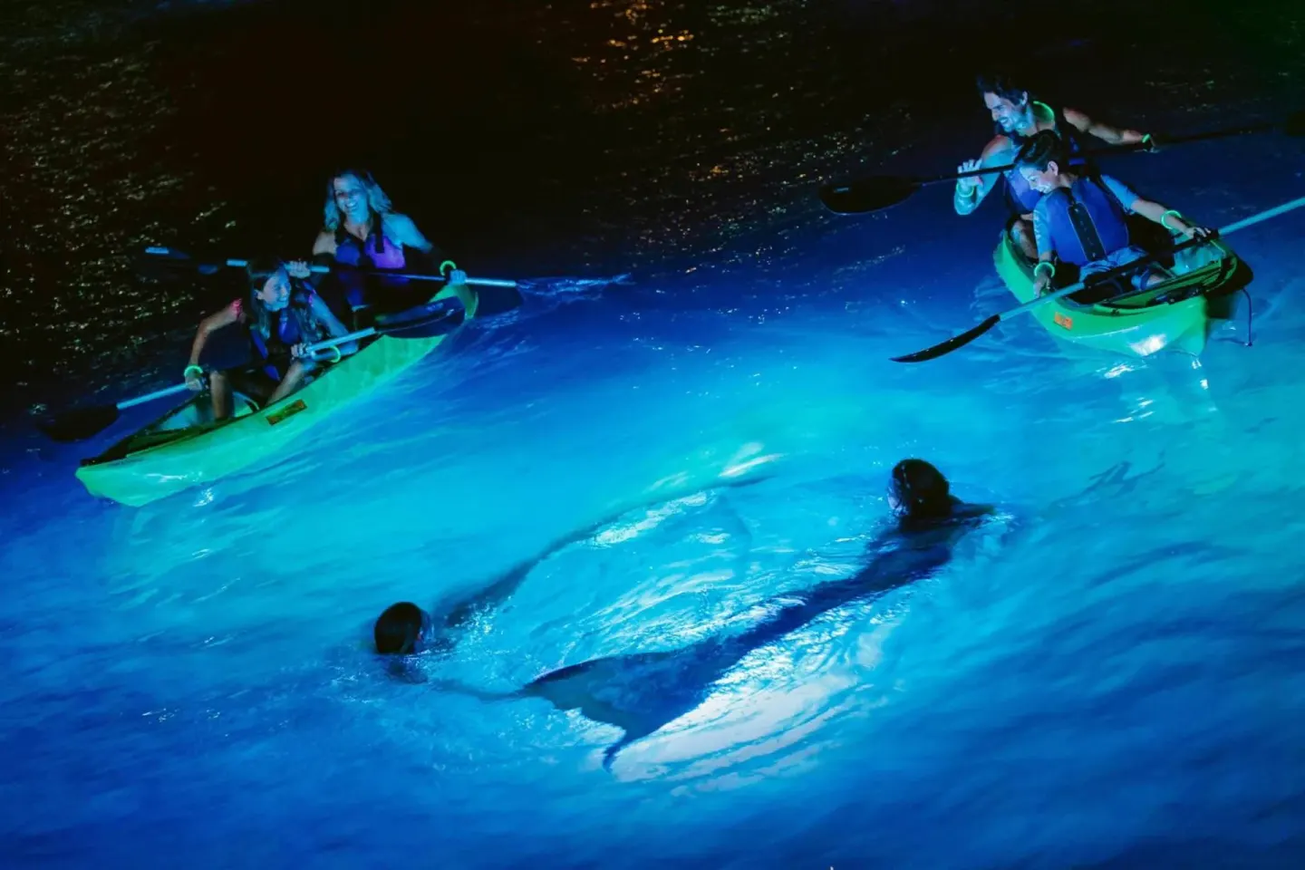 Night kayaking in glowing blue water near Marriott's Frenchman's Cove.