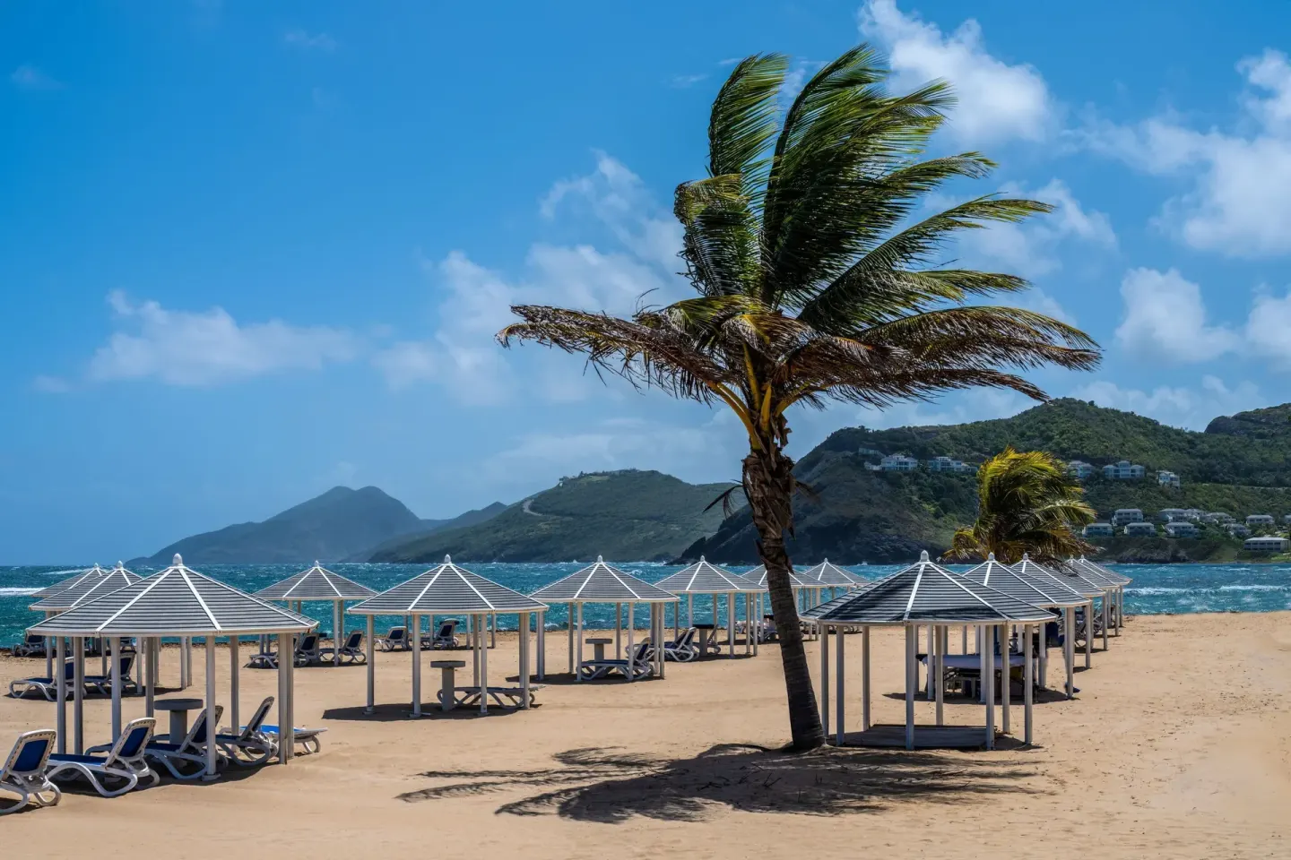 Beach cabanas and palm trees at Marriott's St. Kitts Beach Club.