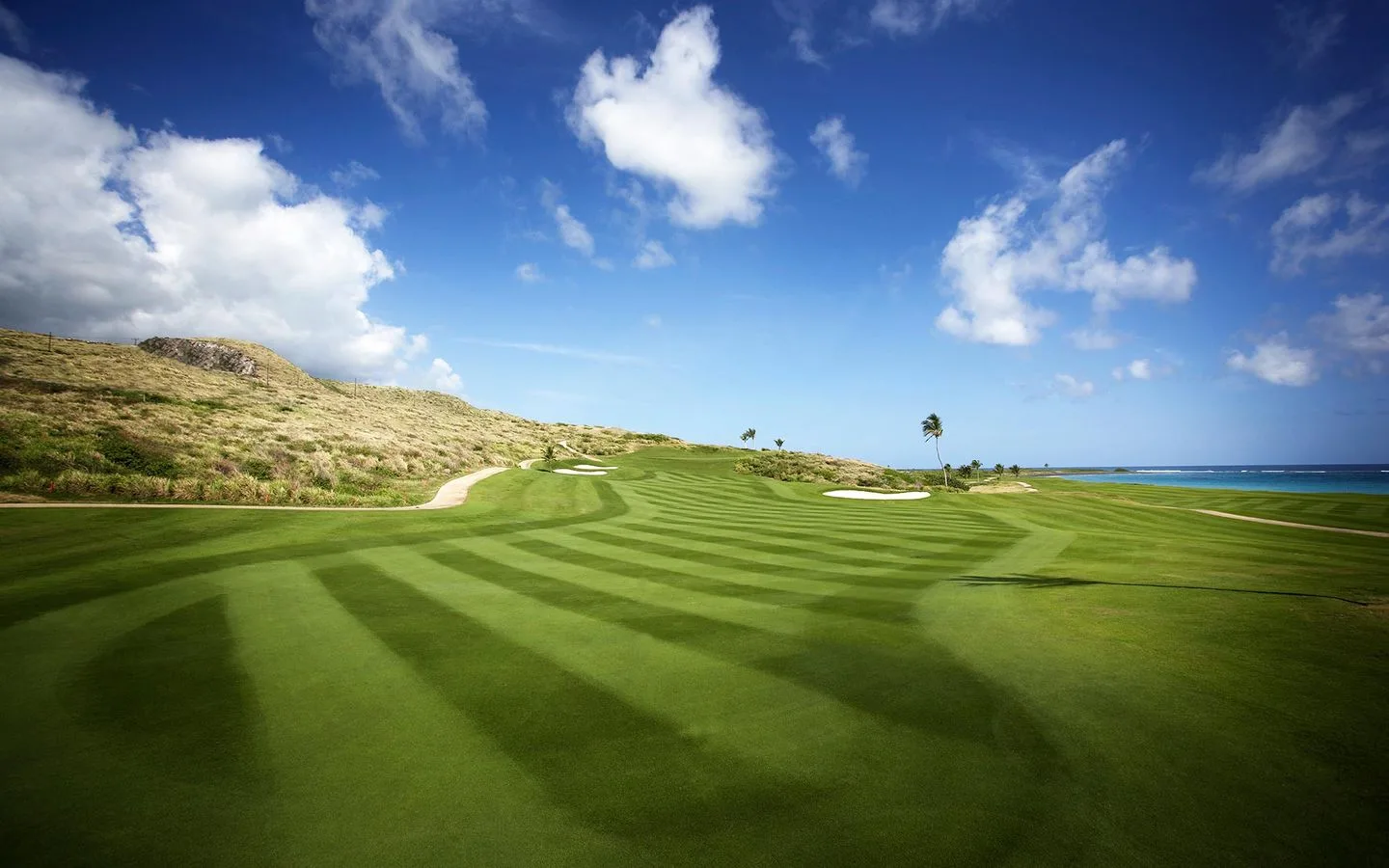 Royal St. Kitts Golf Club near Marriott's St. Kitts Beach Club