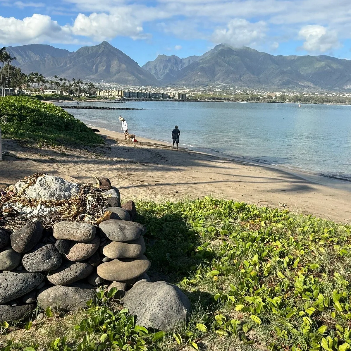 Ho Aloha Park 1 Min Walk