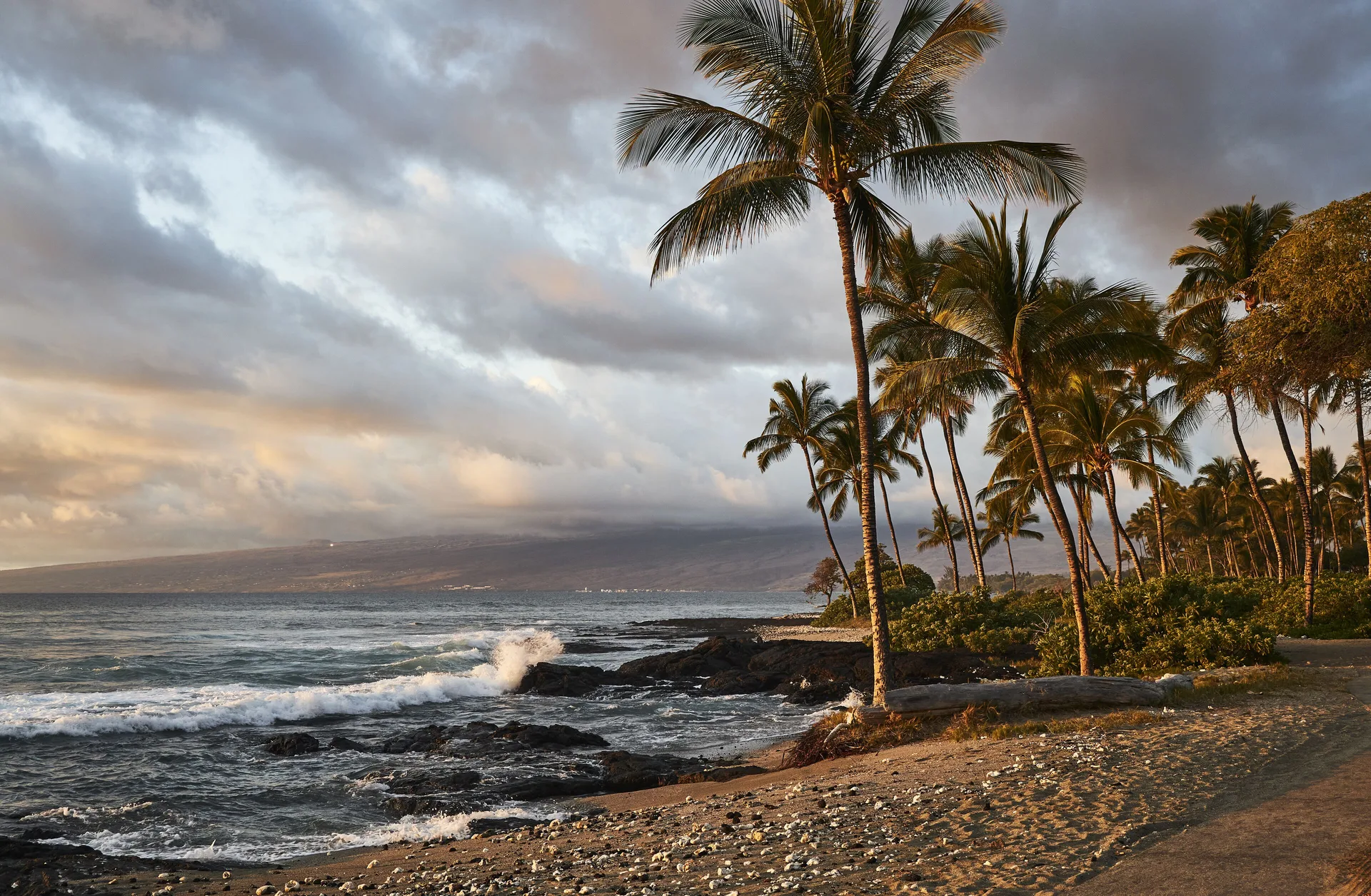 Palm trees line a rocky shoreline at sunset near Mauna Lani.