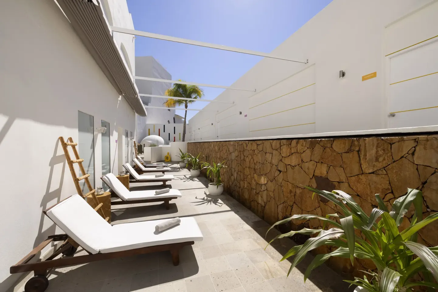 Sunlit terrace with lounge chairs, potted plants, and white walls at ME Cabo.