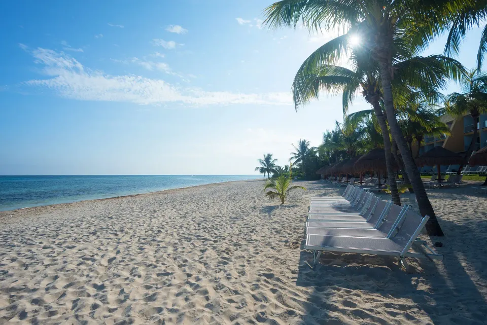 Empty beach chairs in shade of palms on the wide sandy beach at Melia Cozumel.