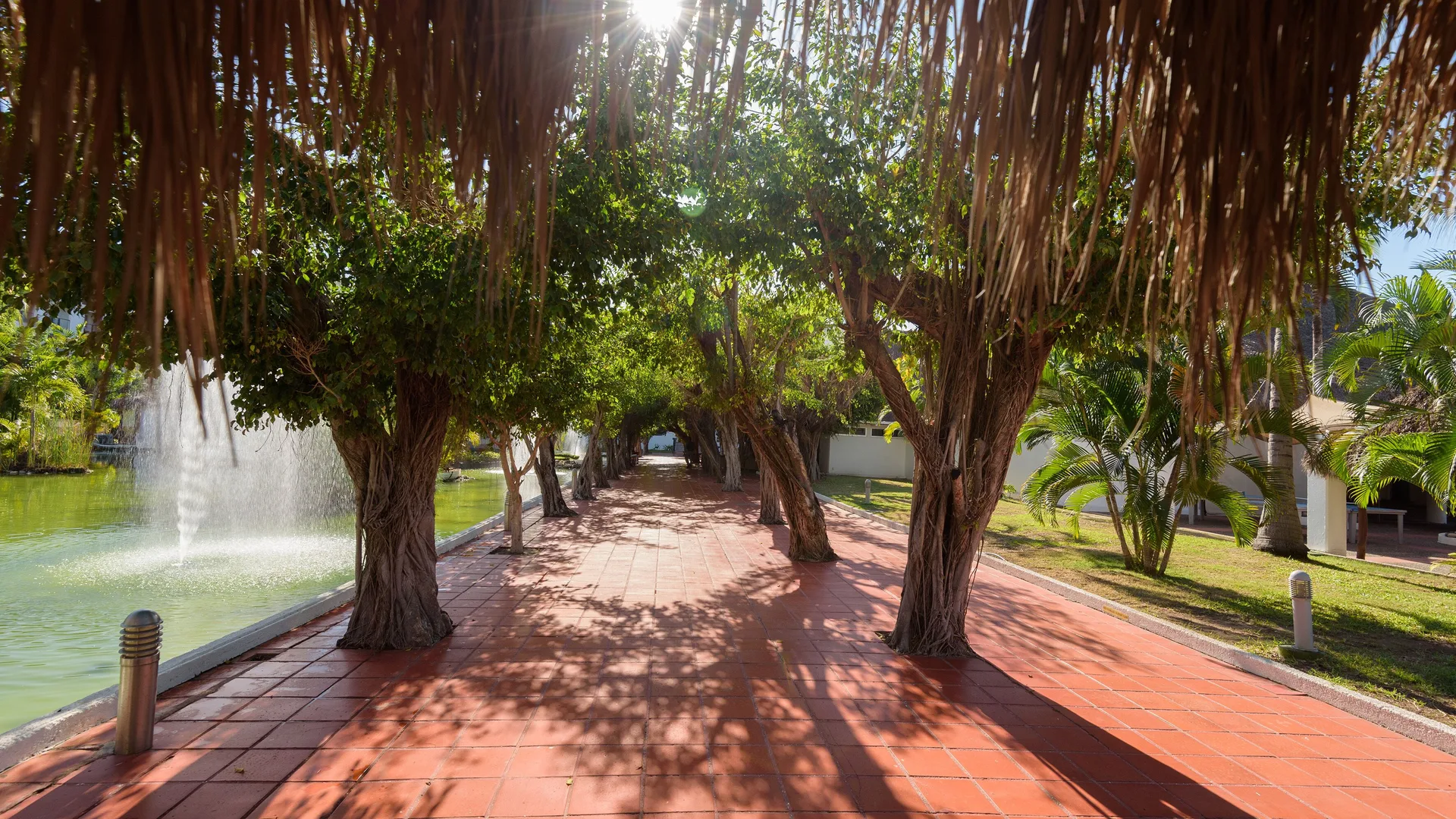 Tree-lined walkway beside a lagoon and fountain at Melia Puerto Vallarta.