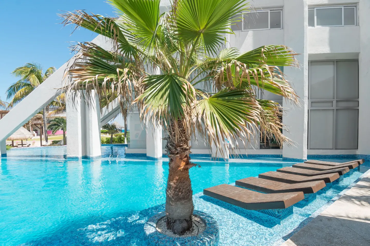 Pool with palm tree, in-water loungers, and white resort building at Mia Reef Isla Mujeres.