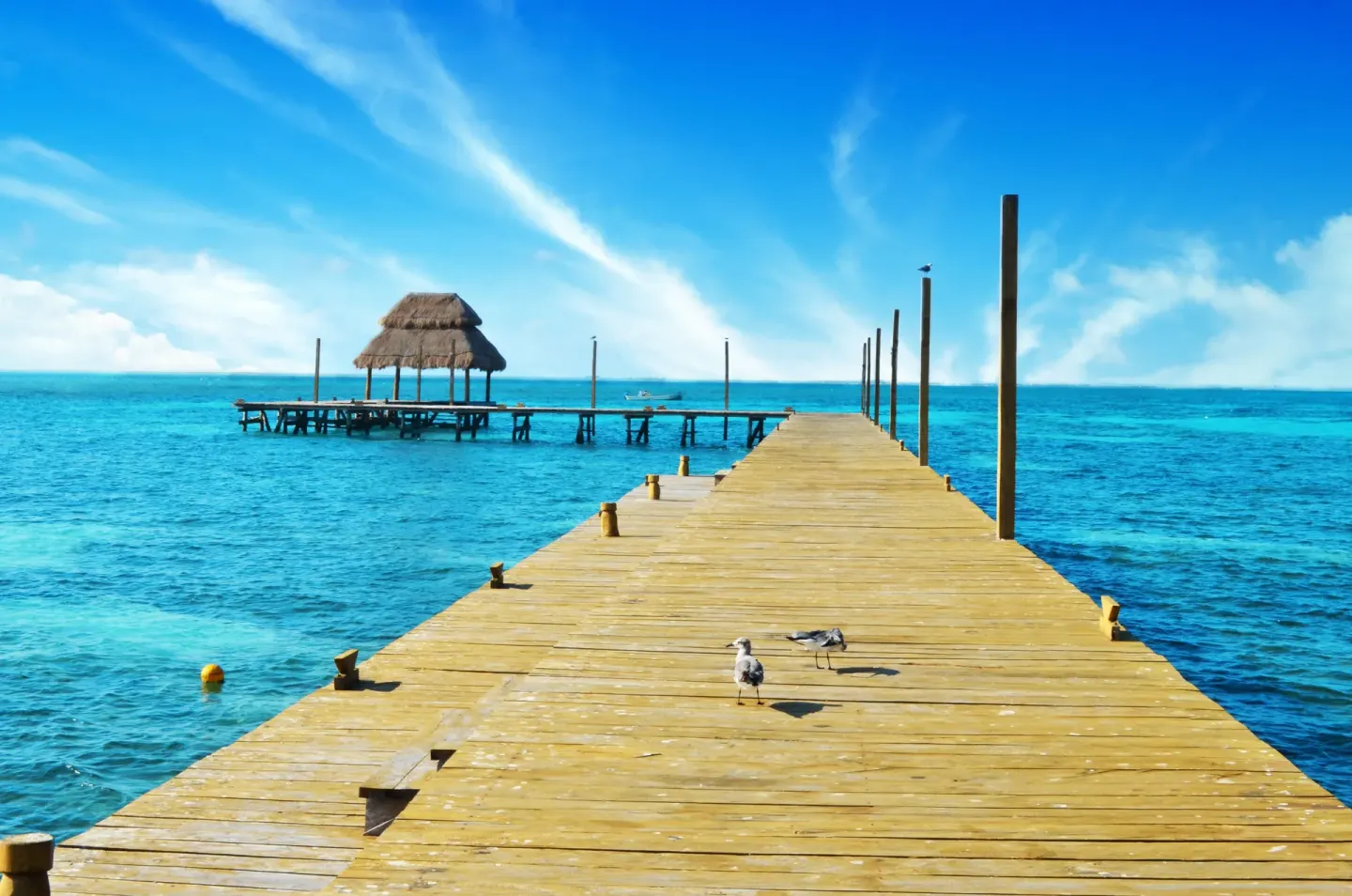 Wooden pier over vivid blue water with seabirds at Mia Reef Isla Mujeres.