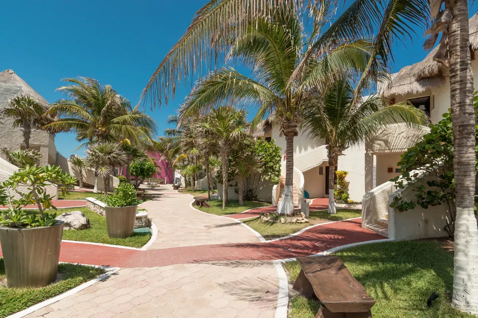 Palm-lined villa walkway with thatched-roof buildings at Mia Reef Isla Mujeres.