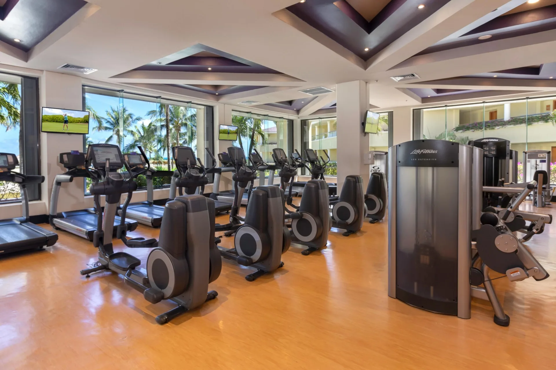 Fitness center with cardio machines and garden views at Moon Palace Cancun.