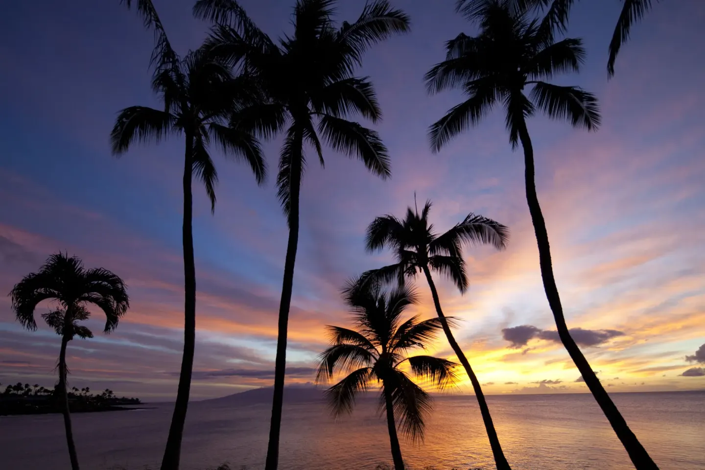 Sunset over the ocean with palm silhouettes at Napili Kai Beach Resort.