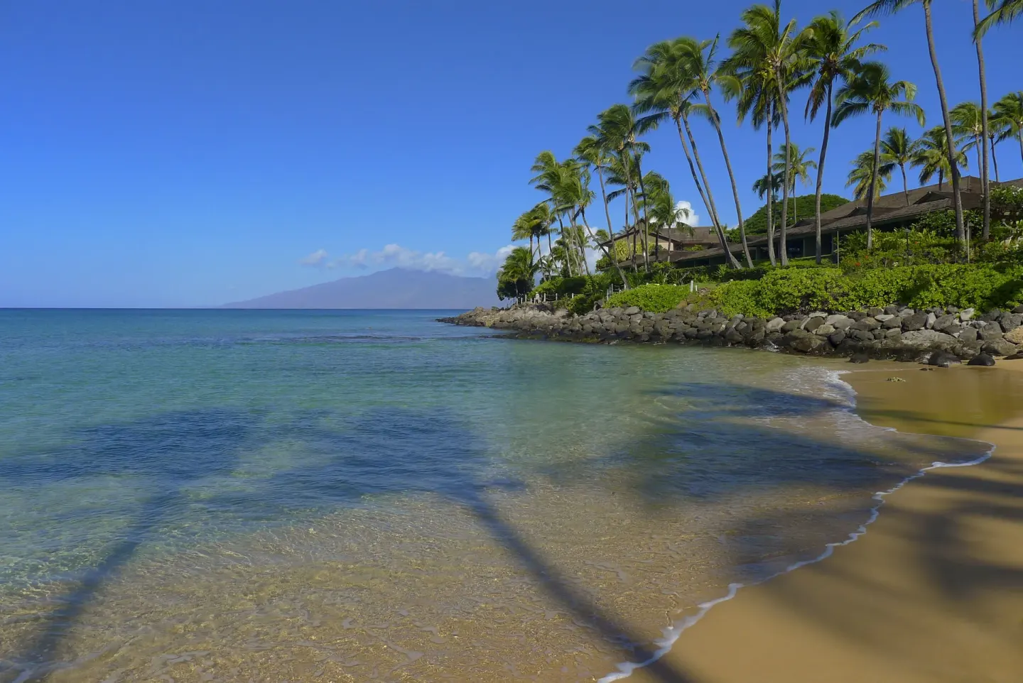 Clear water, sandy beach, and palm trees at Napili Kai Beach Resort.
