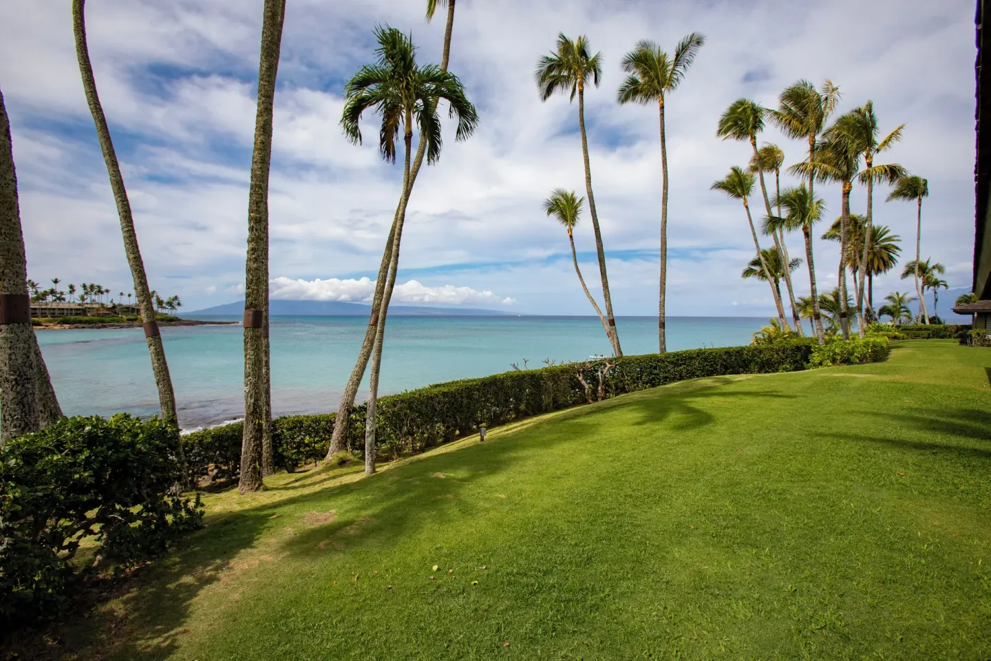 Palm-lined oceanfront lawn at Napili Kai Beach Resort overlooking calm blue water.