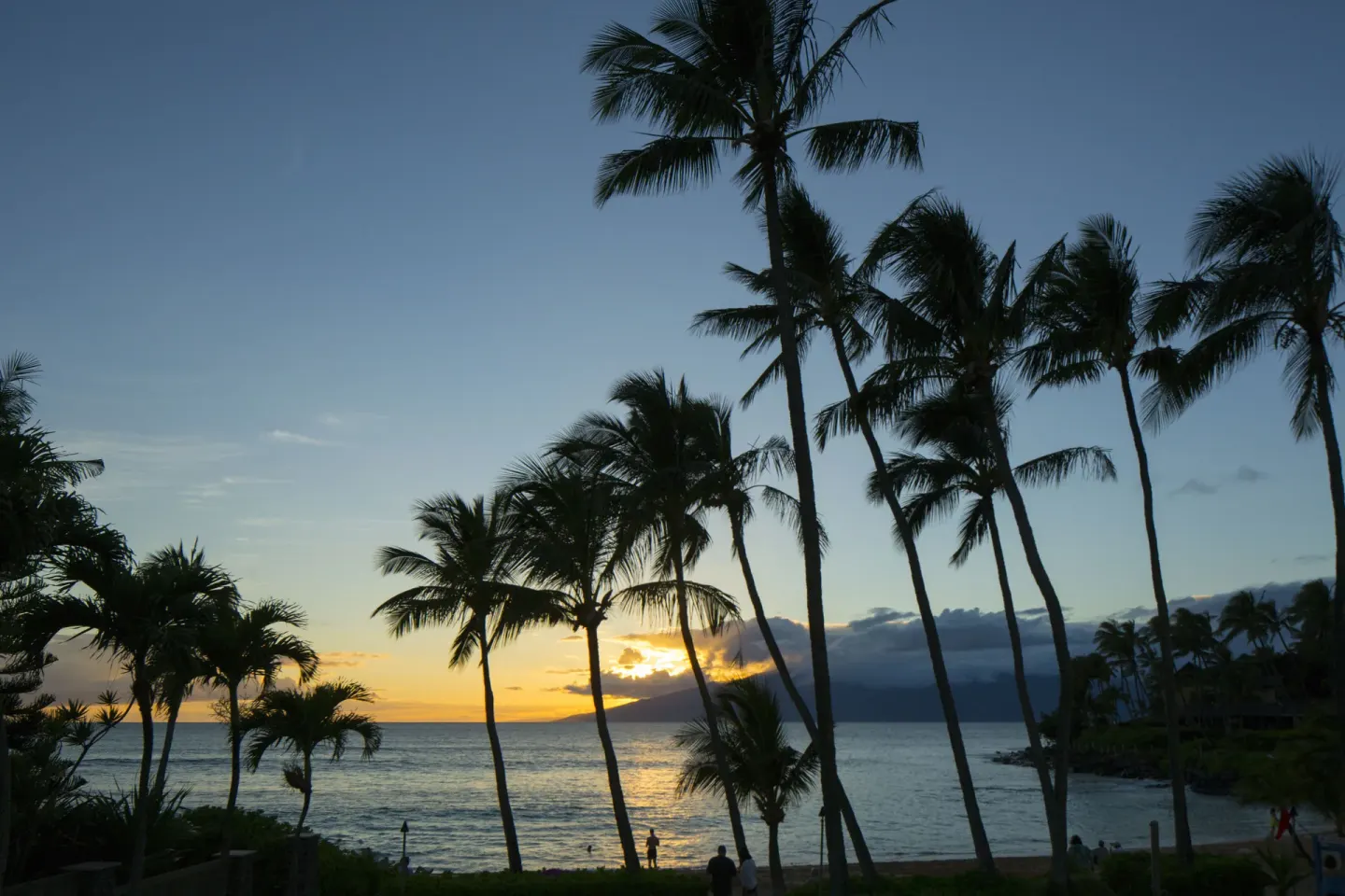 Palm silhouettes at sunset over the beach at Napili Kai Beach Resort.