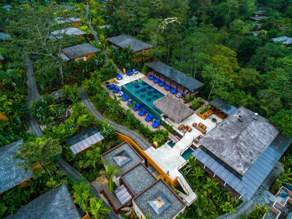 Aerial view of resort pool, loungers, and rainforest at Nayara Springs.