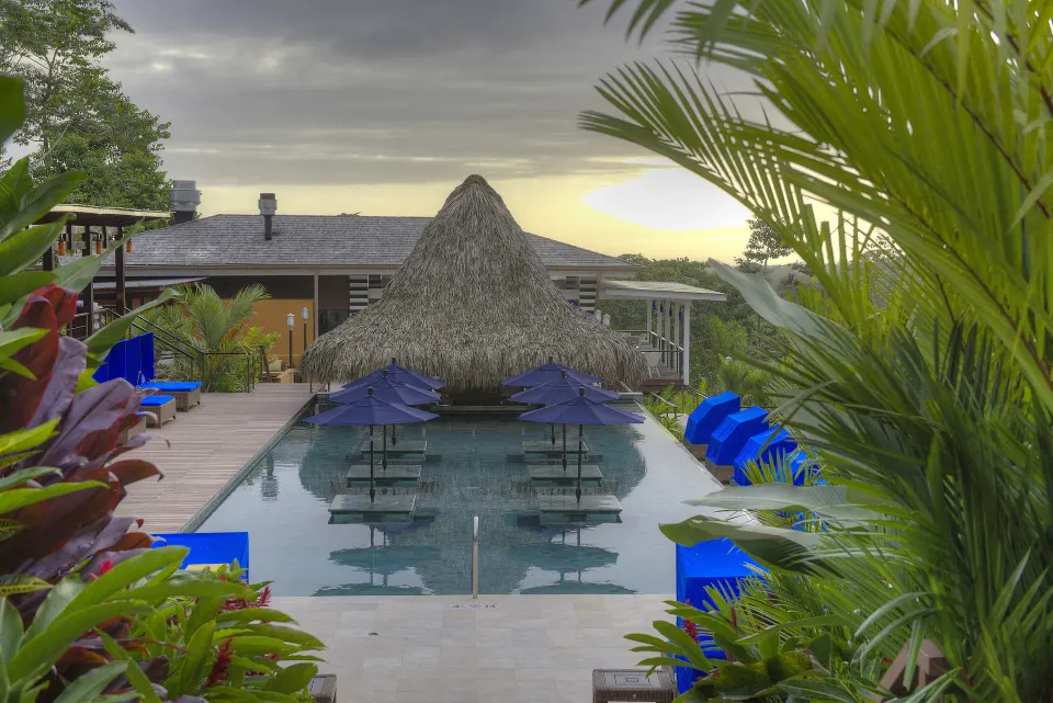 Pool framed by palms, blue loungers, and a thatched roof at Nayara Springs.