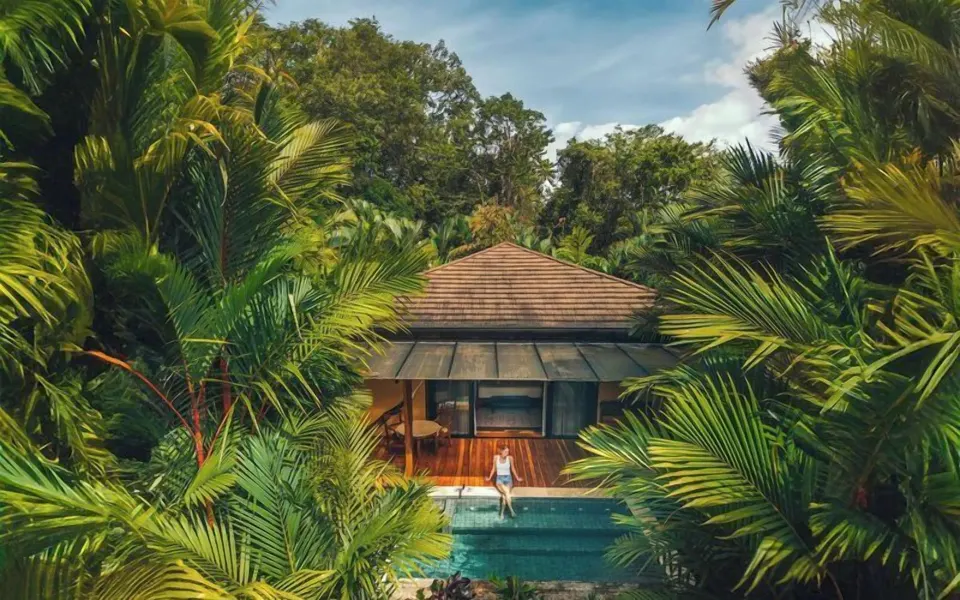 Private plunge pool villa surrounded by palms at Nayara Springs.
