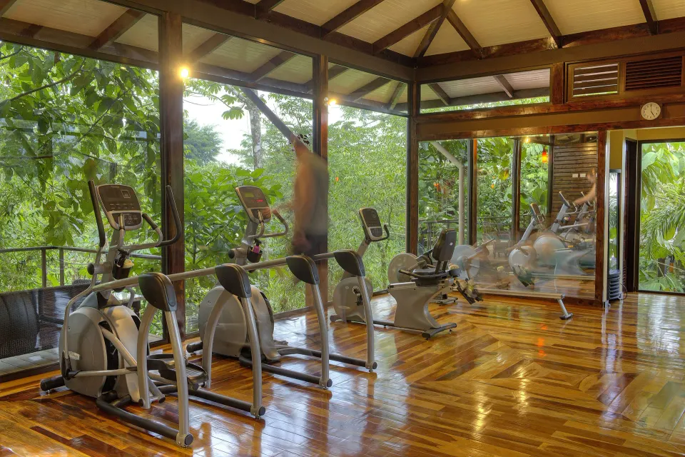 Cardio machines line a glass-walled fitness room in the rainforest at Nayara Springs.