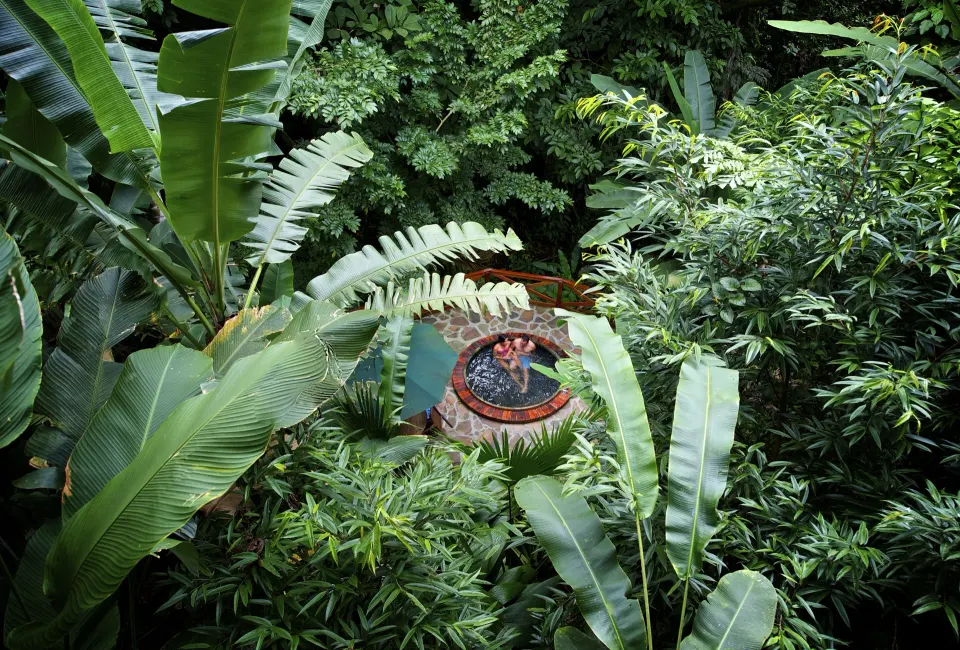 Secluded round plunge pool surrounded by rainforest at Nayara Springs.