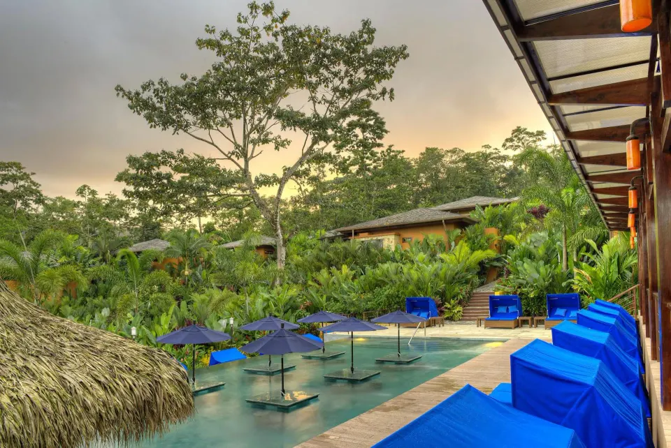 Blue loungers and umbrellas line a resort pool among rainforest at Nayara Springs.