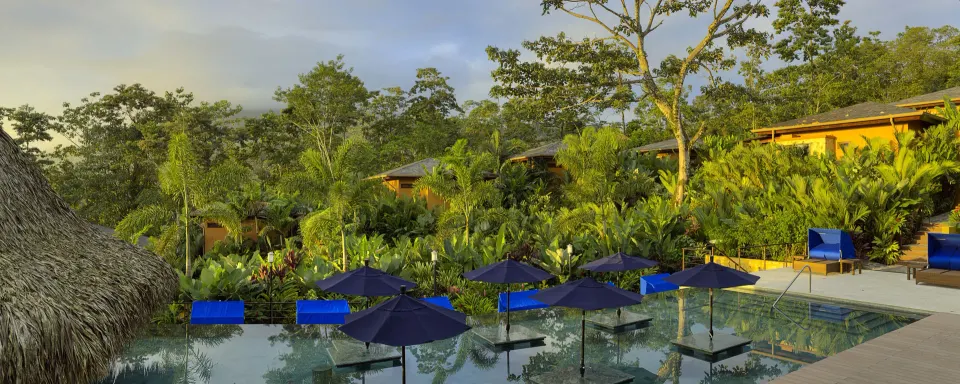 Pool with blue umbrellas and surrounding rainforest at Nayara Springs.