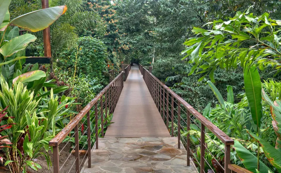 Rainforest walkway bridge through lush gardens at Nayara Springs.