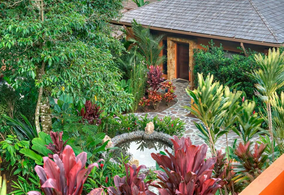 Lush tropical garden path winding through Nayara Springs.