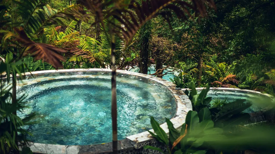 A round hot spring pool is surrounded by tropical foliage at Nayara Springs.