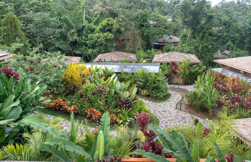 Garden paths and villa rooftops among rainforest at Nayara Springs.