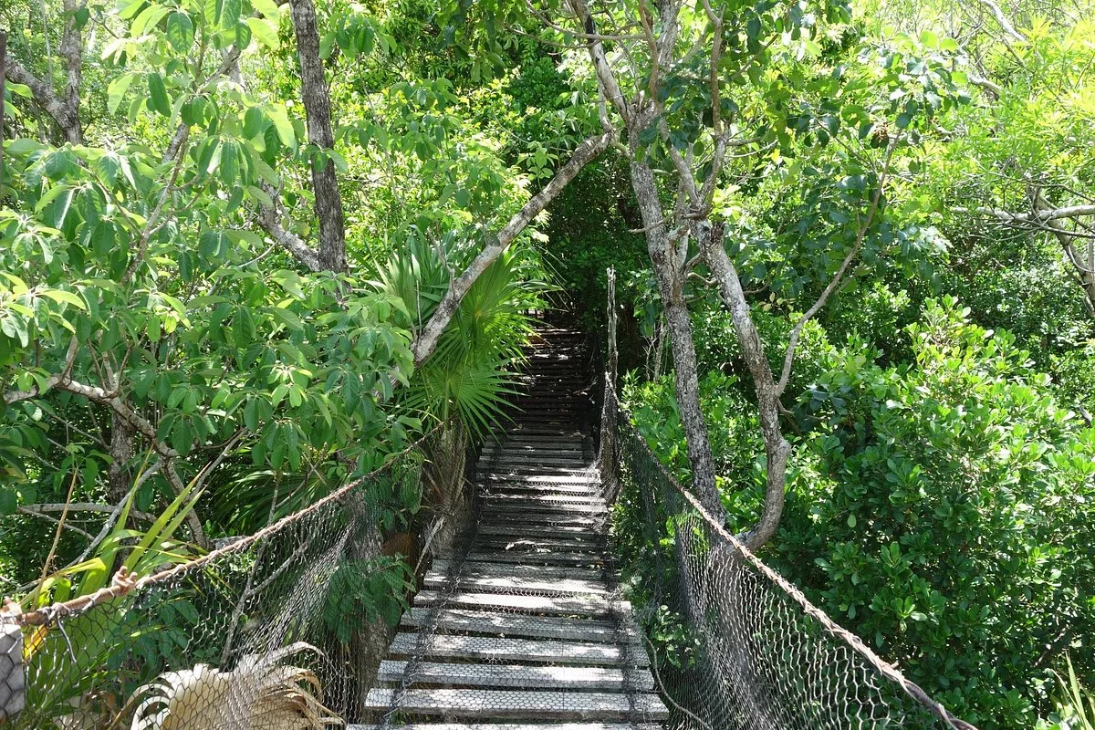 Dr Alfredo Barrera Marin Botanical Garden 10 Min Drive
