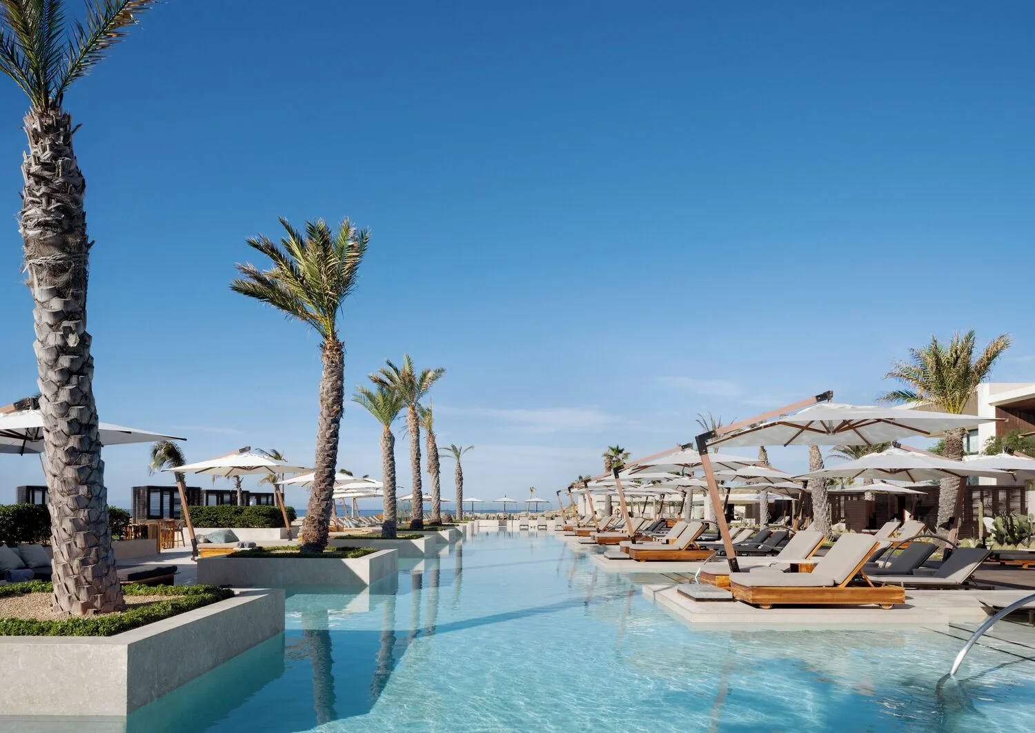 Palm-lined swimming pool with loungers and umbrellas at Nobu Hotel Los Cabos.