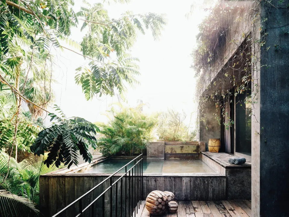 Small elevated plunge pool framed by tropical plants and concrete at Nômade Temple Tulum