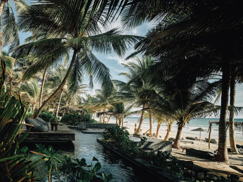 Palm-framed beachfront pool view at Nômade Temple Tulum