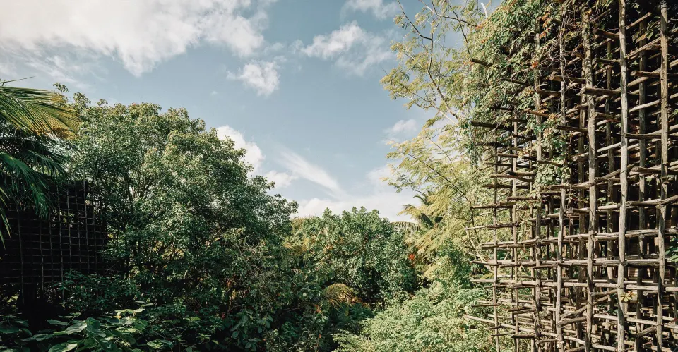 Dense treetop and lattice screen view over the jungle at Nômade Temple Tulum