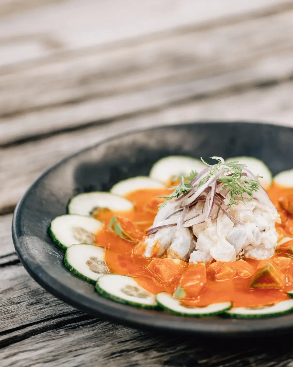 Ceviche served in a citrus sauce with cucumber at Nômade Temple Tulum