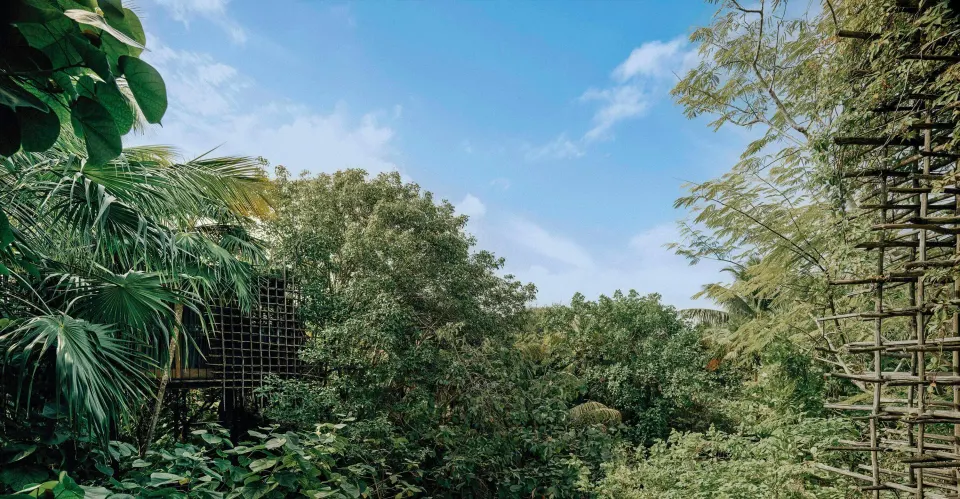 Treetop vista framed by woven room exterior at Nômade Temple Tulum
