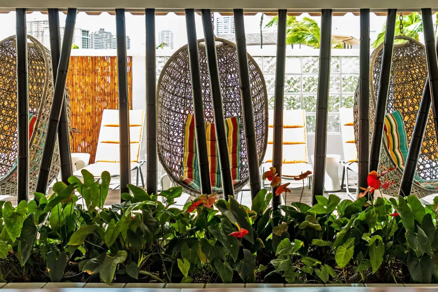 Hanging egg chairs and lounge seating behind bamboo at Oasis Hotel Waikiki.