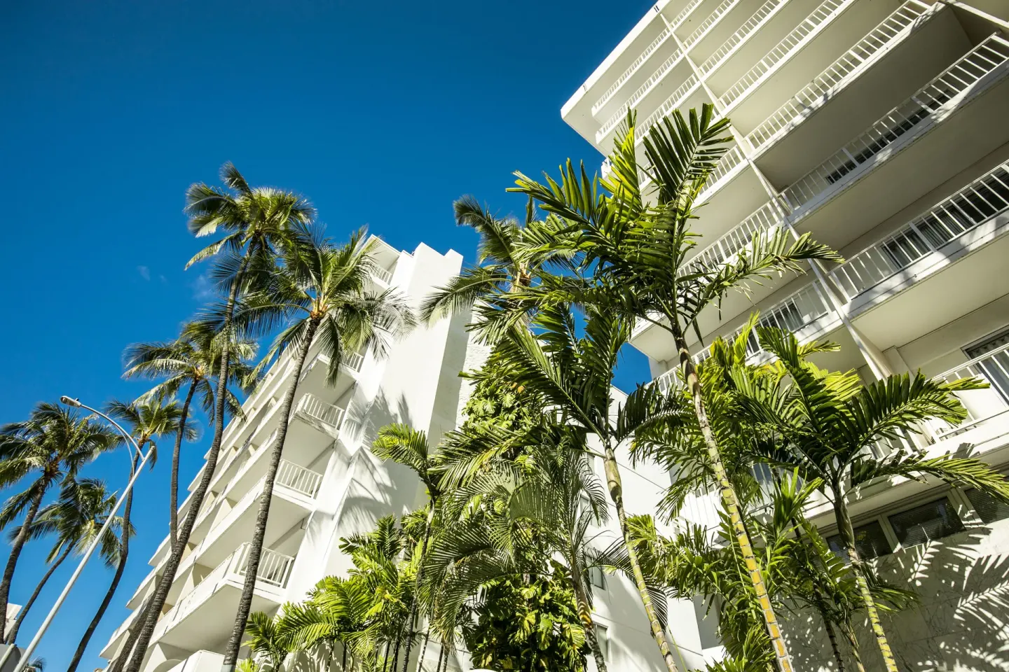 White hotel exterior with balconies and palm trees at Oasis Hotel Waikiki.