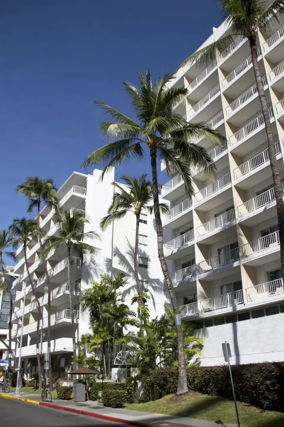 Tall palms line the white balcony exterior of Oasis Hotel Waikiki.