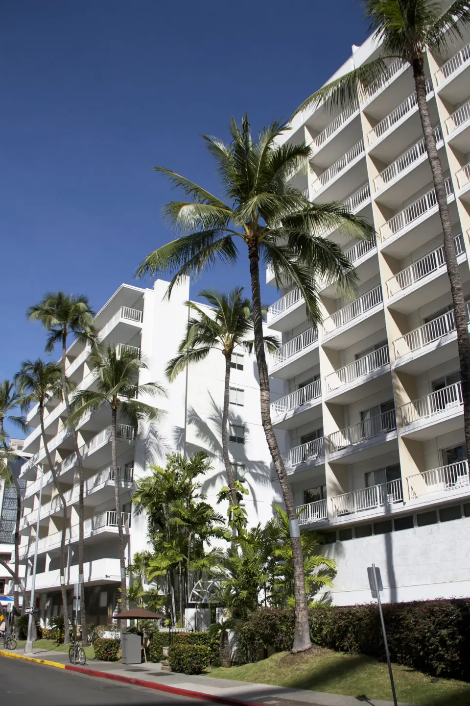 Street-side hotel exterior with palms and balconies at Oasis Hotel Waikiki.