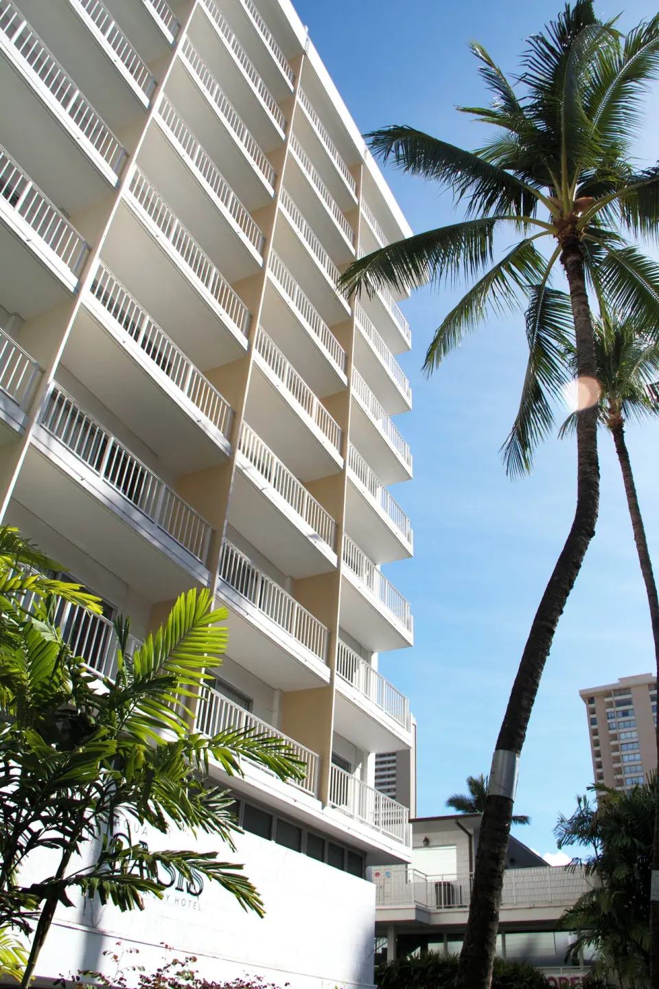 Sunlit balconies and a tall palm tree beside the exterior of Oasis Hotel Waikiki.