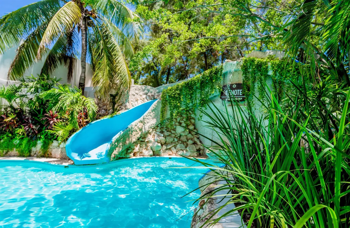 Curving blue waterslide drops into a tropical pool at Oasis Palm.