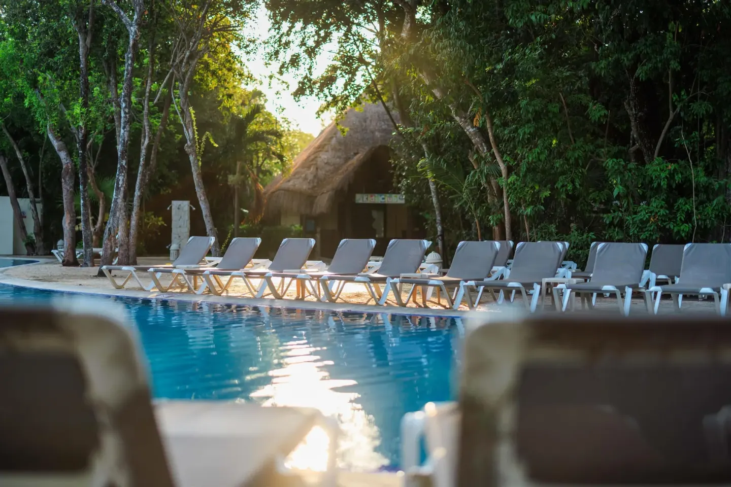 Sunlit pool loungers near trees at Occidental at Xcaret Destination.