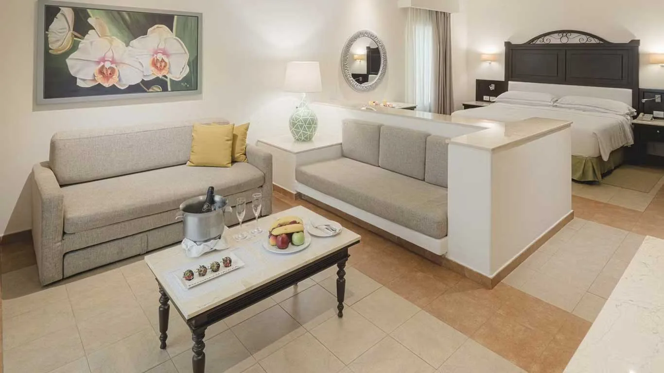 Junior Suite Official 2