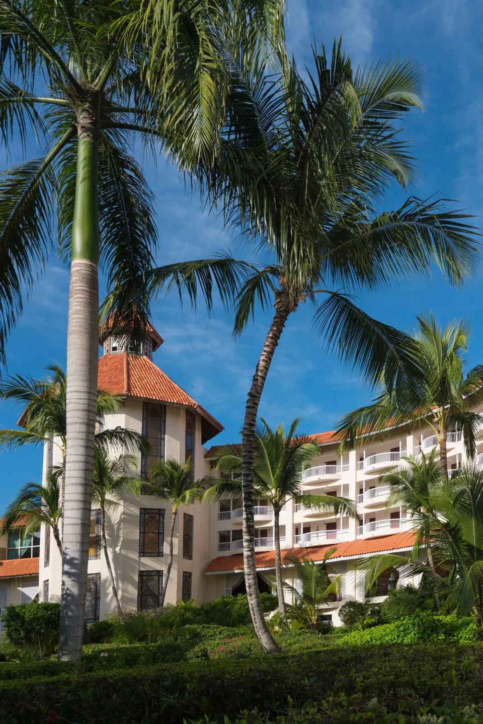 Palm trees and guestroom balconies outside Occidental Caribe.