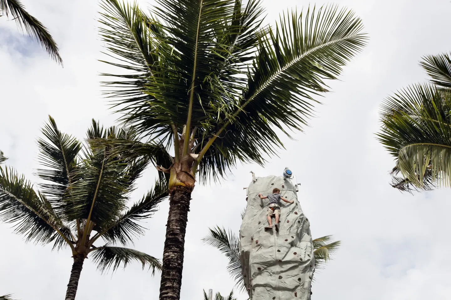 A guest climbs an outdoor rock wall among tall palms at Occidental Caribe.
